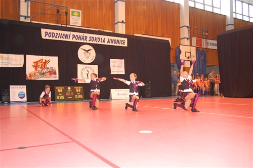 Obrázek v galerii