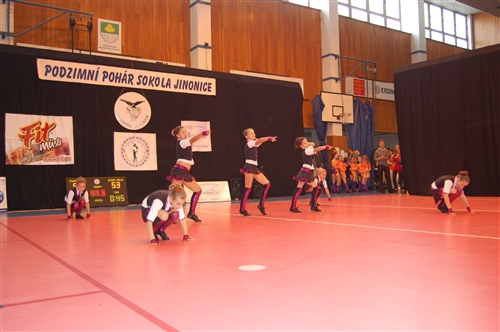 Obrázek v galerii