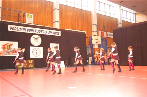 Obrázek v galerii