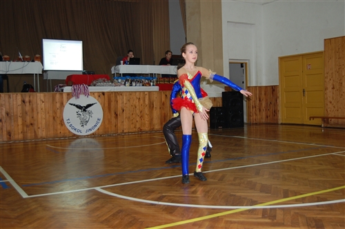 Obrázek v galerii
