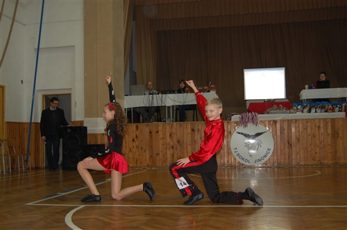 Obrázek v galerii