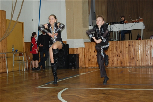 Obrázek v galerii