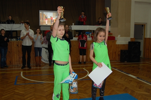 Obrázek v galerii