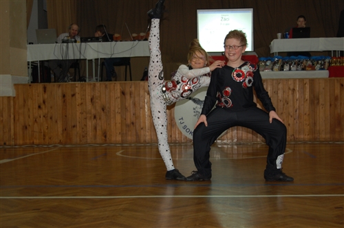 Obrázek v galerii
