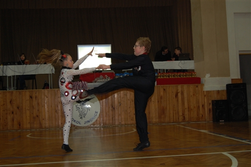 Obrázek v galerii