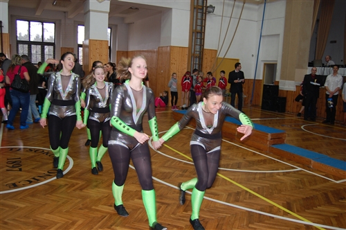 Obrázek v galerii