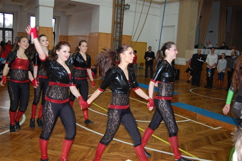 Obrázek v galerii
