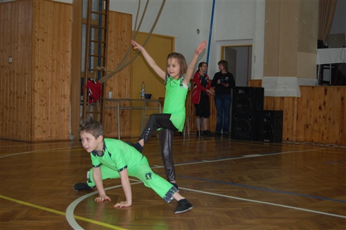 Obrázek v galerii