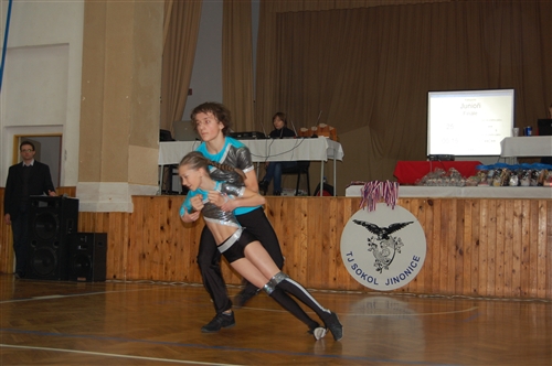 Obrázek v galerii