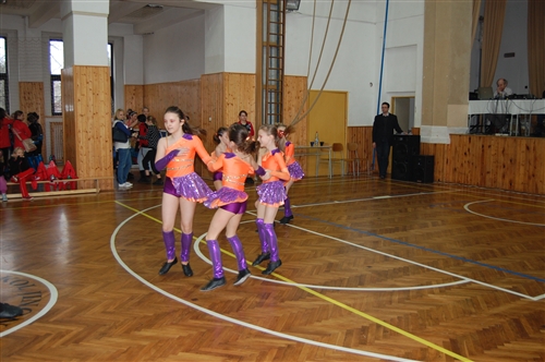 Obrázek v galerii