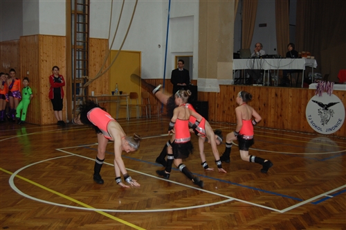 Obrázek v galerii