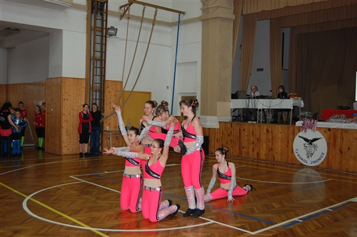 Obrázek v galerii