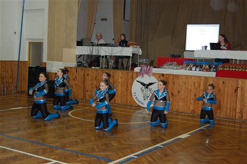 Obrázek v galerii