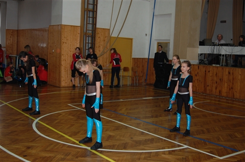 Obrázek v galerii