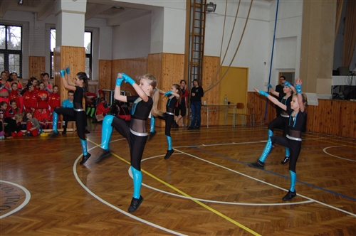 Obrázek v galerii
