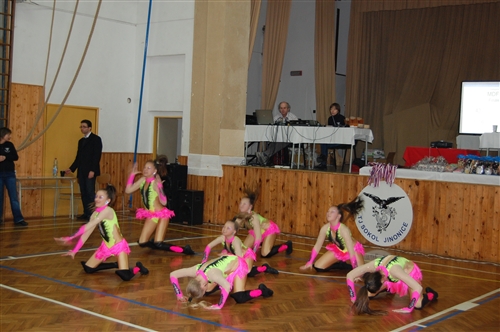 Obrázek v galerii