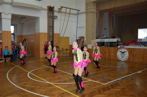 Obrázek v galerii