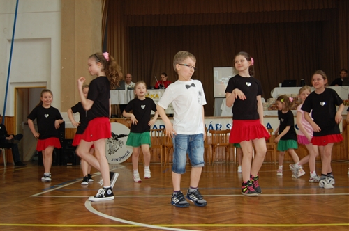 Obrázek v galerii