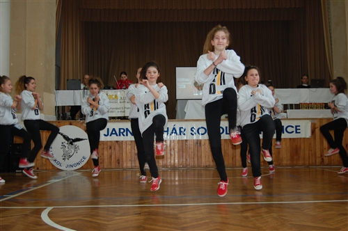 Obrázek v galerii