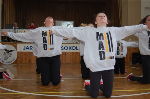 Obrázek v galerii