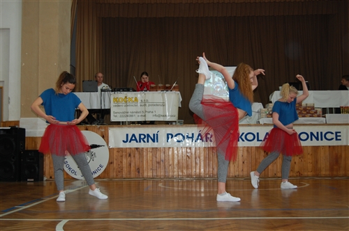 Obrázek v galerii