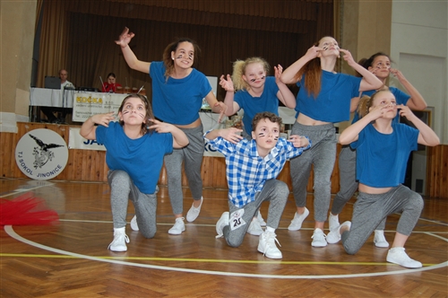 Obrázek v galerii