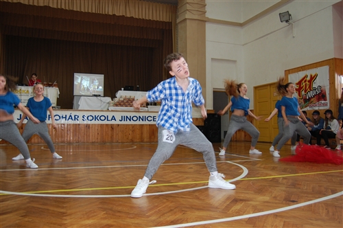 Obrázek v galerii