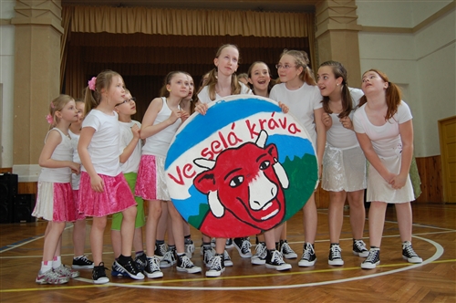 Obrázek v galerii