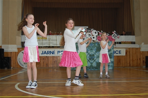 Obrázek v galerii