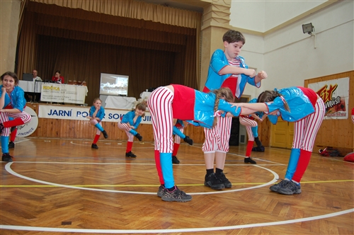 Obrázek v galerii