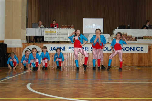 Obrázek v galerii