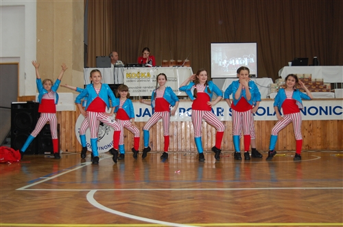 Obrázek v galerii