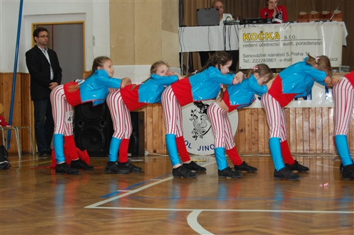 Obrázek v galerii
