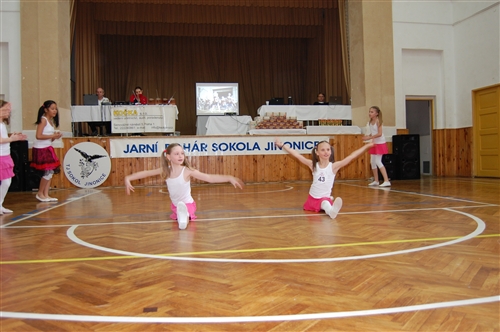 Obrázek v galerii