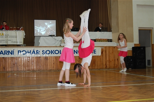 Obrázek v galerii