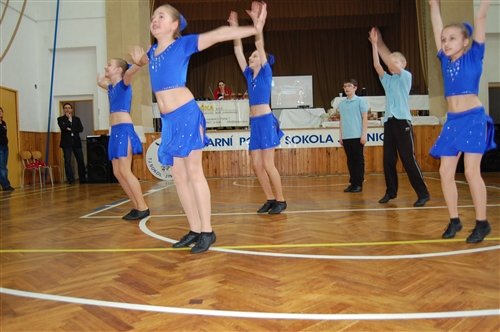 Obrázek v galerii