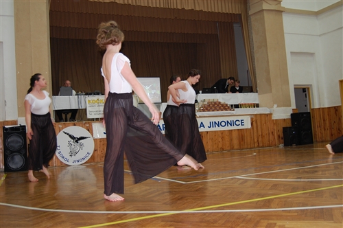 Obrázek v galerii