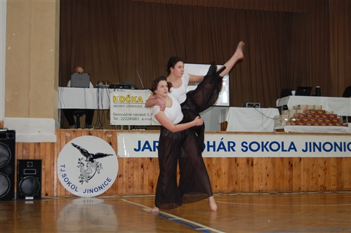 Obrázek v galerii