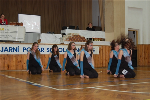 Obrázek v galerii
