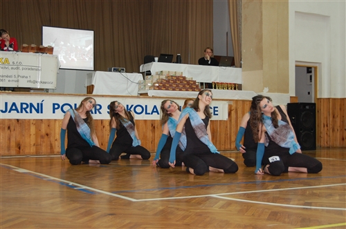 Obrázek v galerii