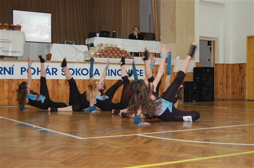 Obrázek v galerii