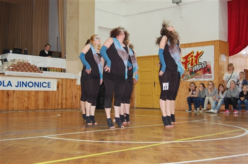 Obrázek v galerii