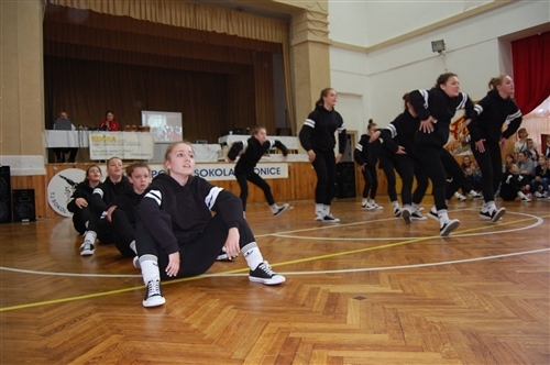 Obrázek v galerii
