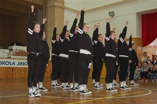 Obrázek v galerii