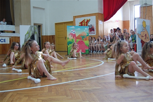 Obrázek v galerii