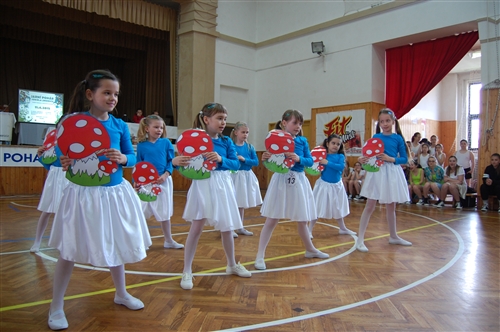 Obrázek v galerii