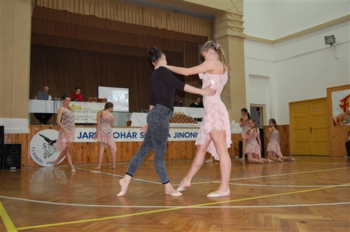 Obrázek v galerii