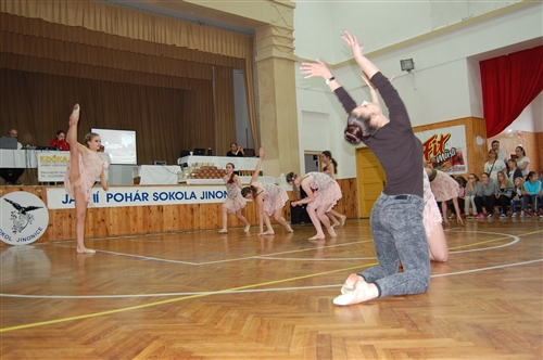 Obrázek v galerii