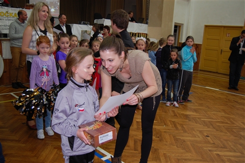 Obrázek v galerii