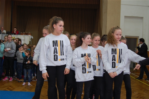 Obrázek v galerii